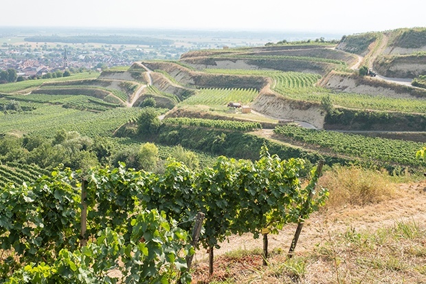 Kaiserstuhl