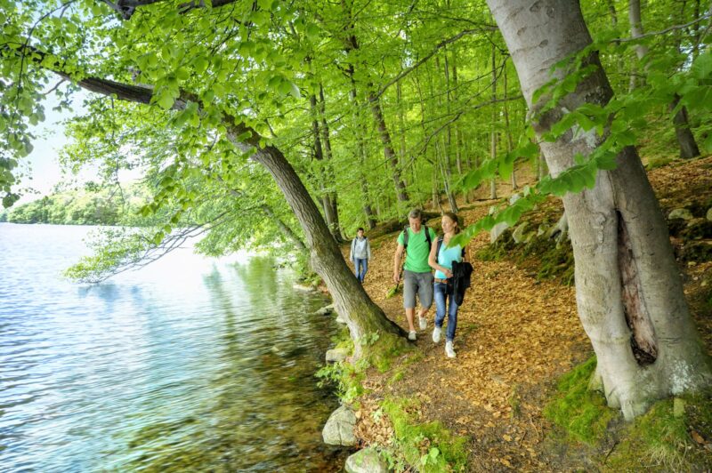 Wanderer am Schmalen Luzin // Hikers at the Schmaler Luzin