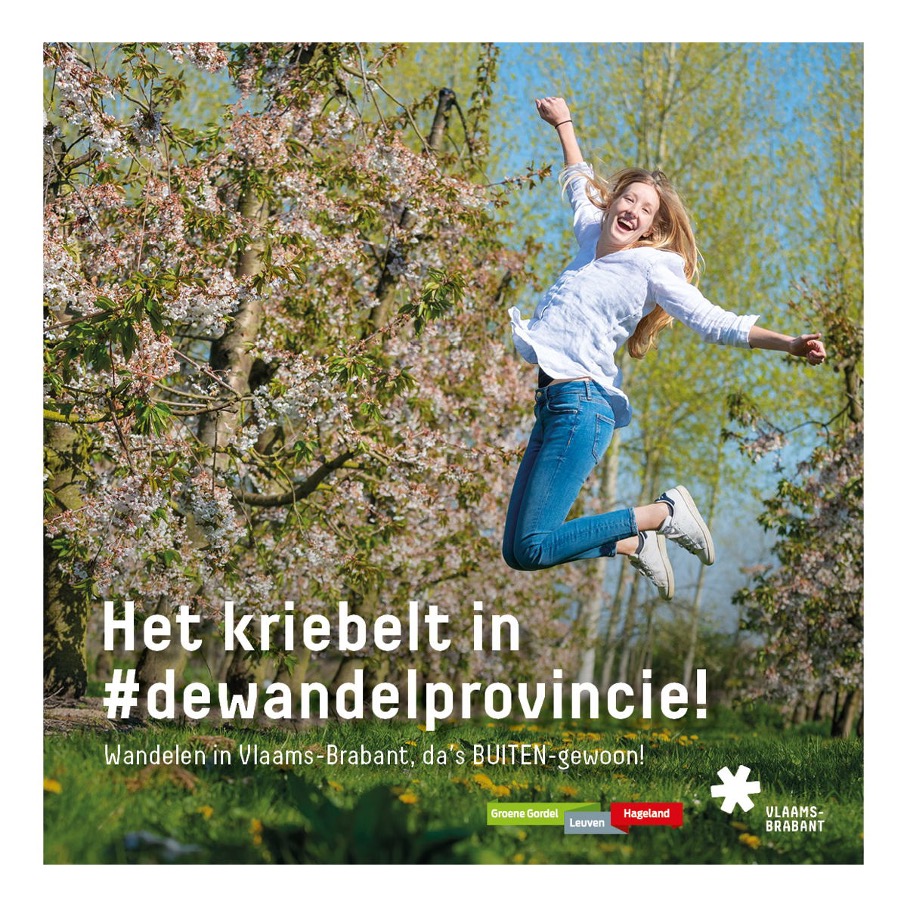 dewandelprovincie