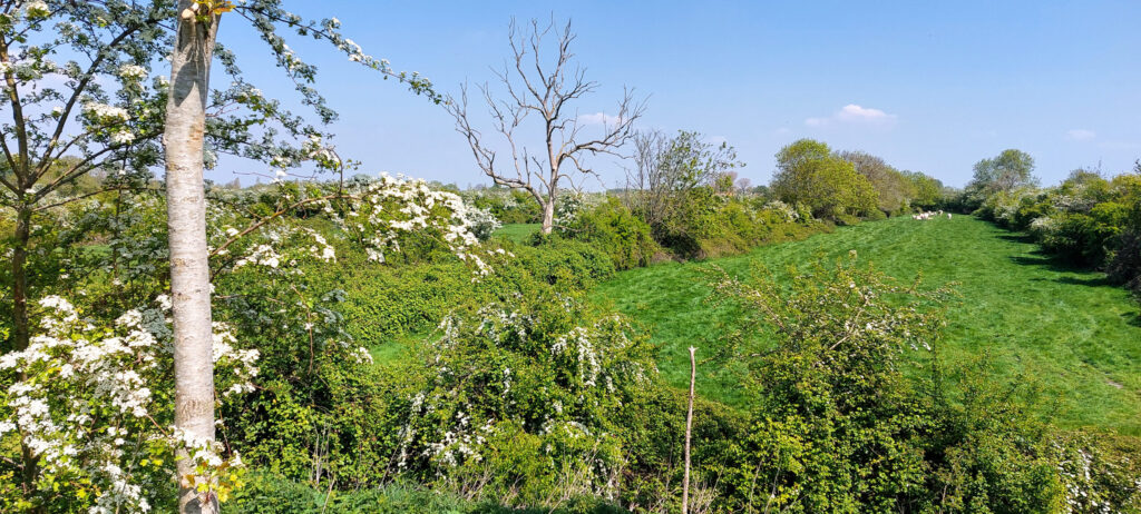 Zak van Zuid-Beveland 012