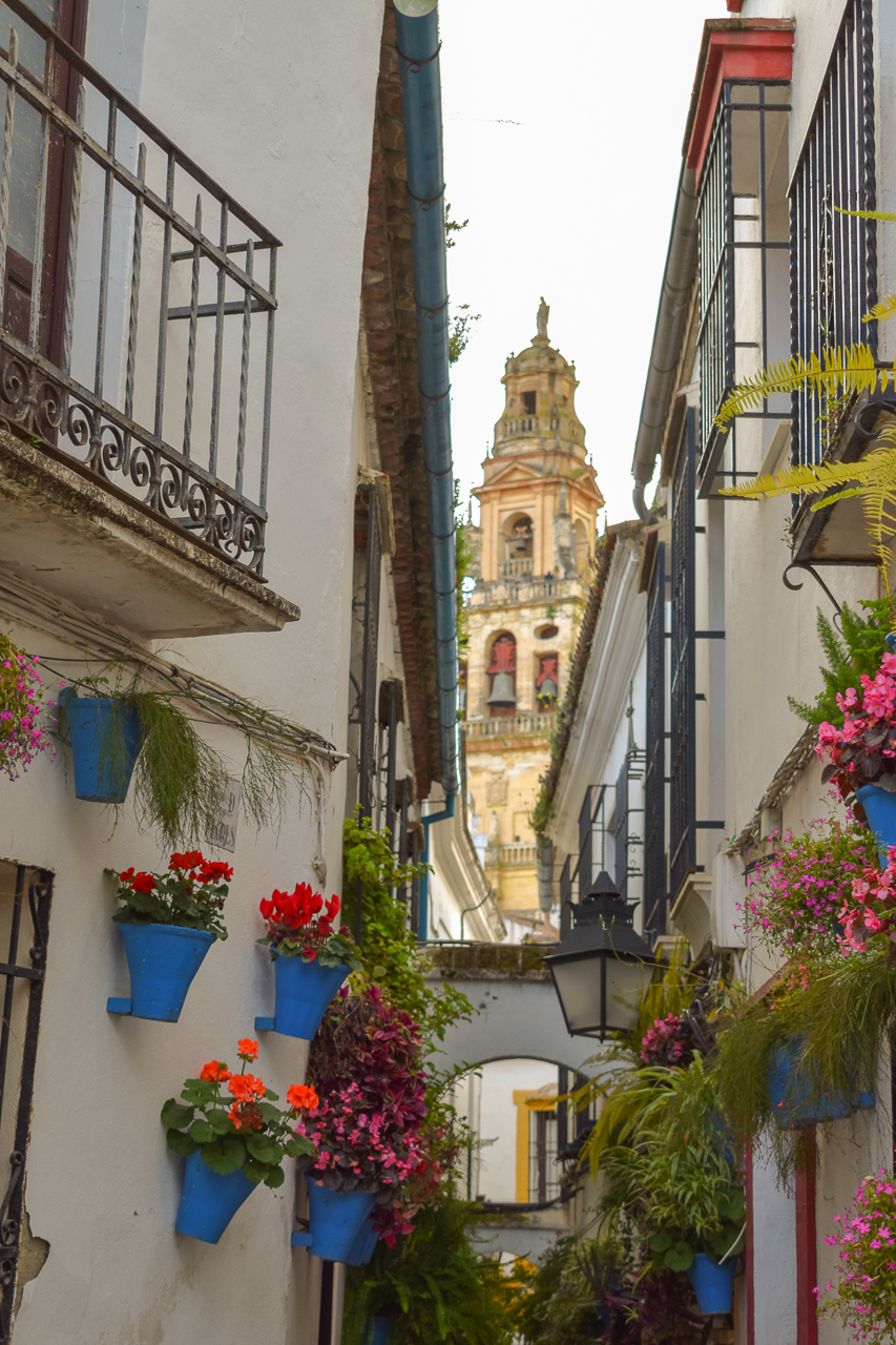 19.Cale de las Flores het meest gefografeerde straatje