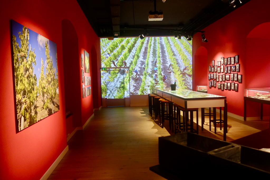 17. Bildung Wein een leuke attractie voor wijnliefhebbers