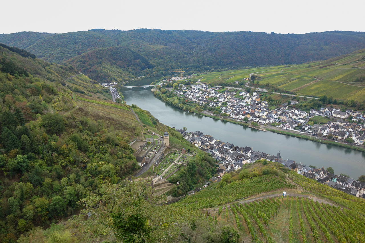 zell 13