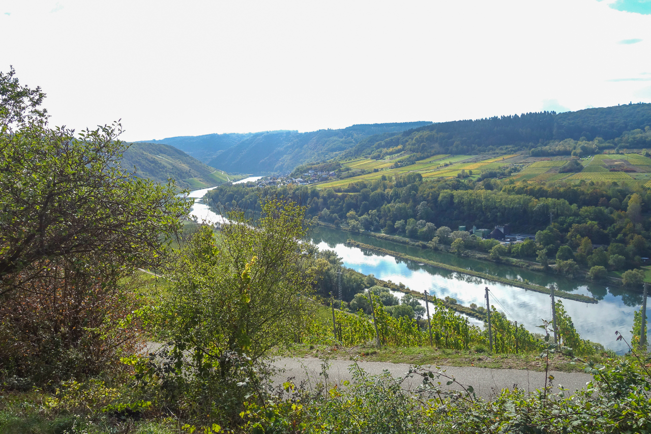 zell 14