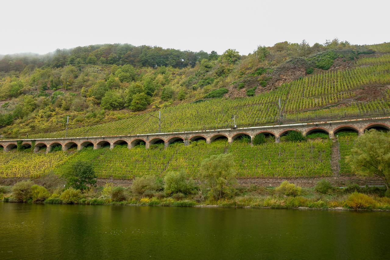 zell 16