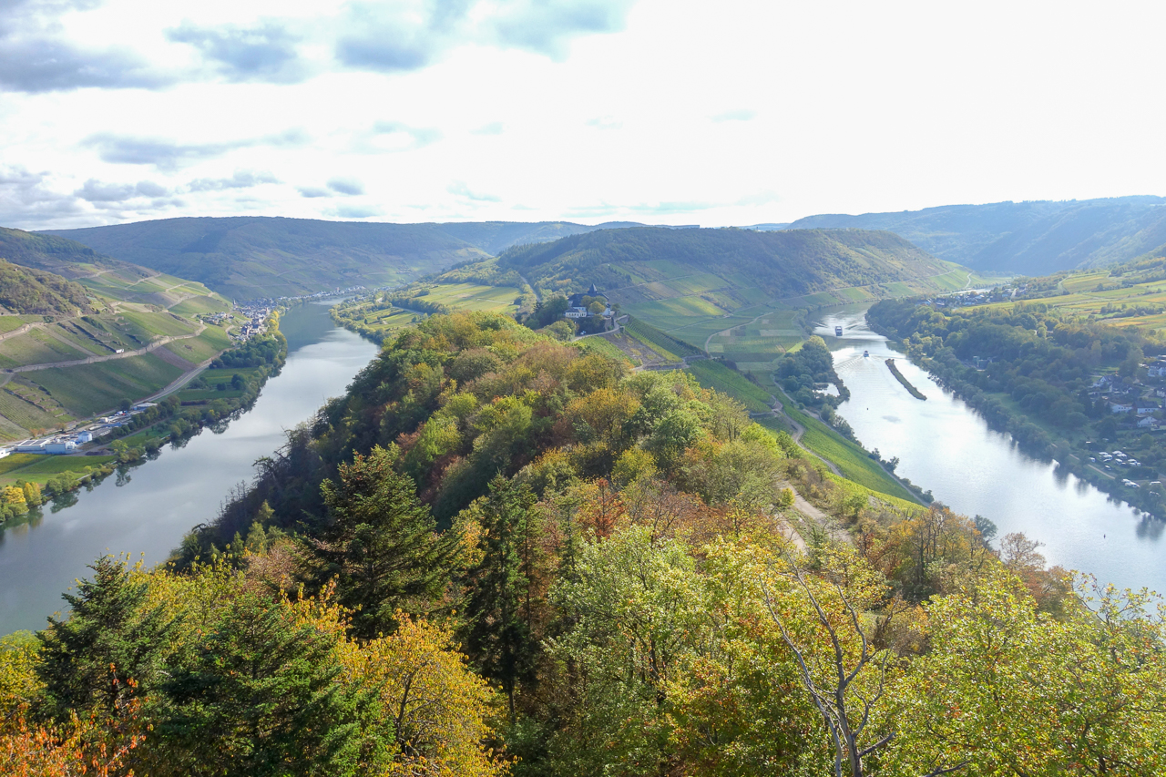 zell 2